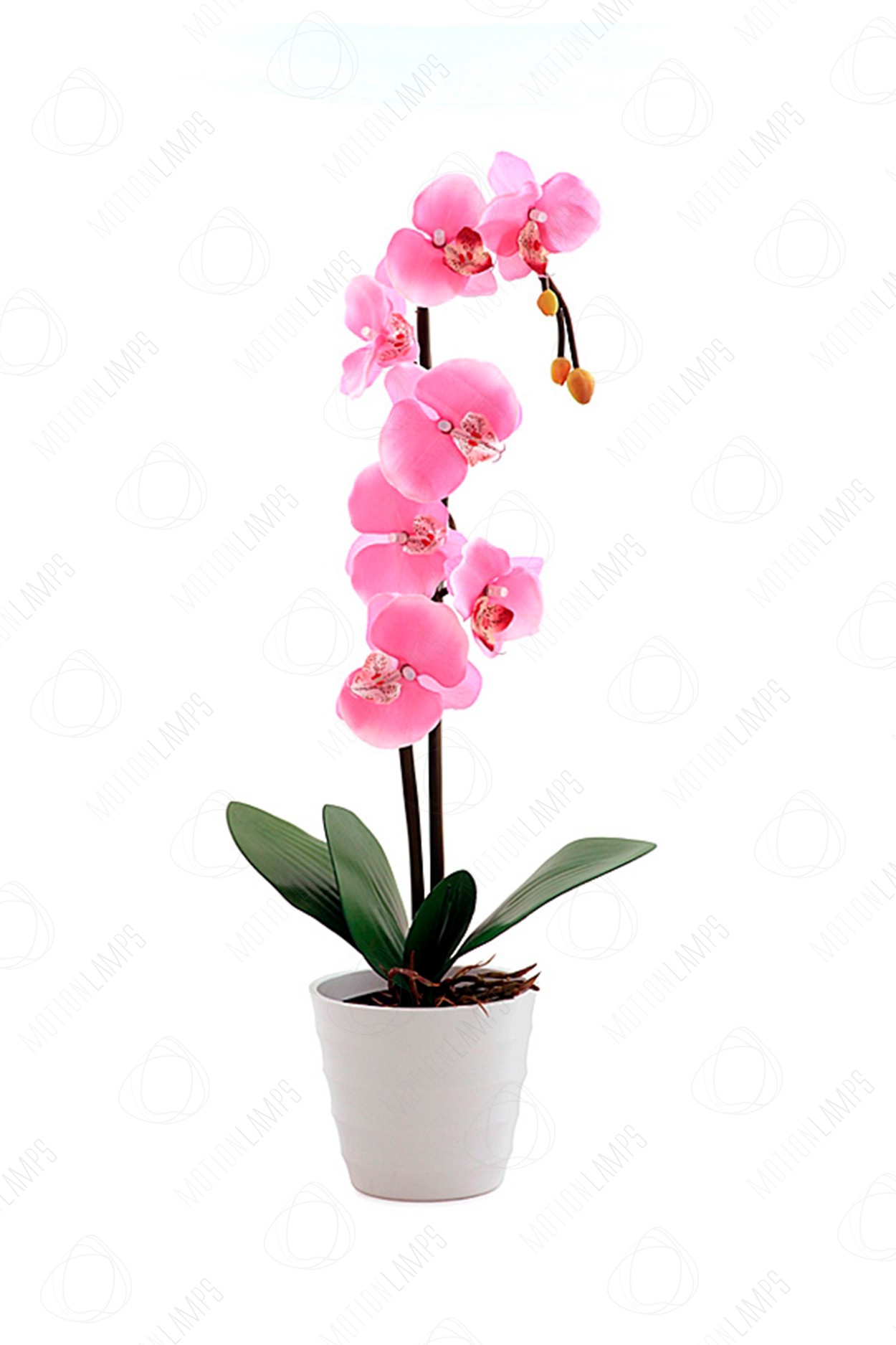 Светодиодный светильник Орхидея розовая в Ярославле