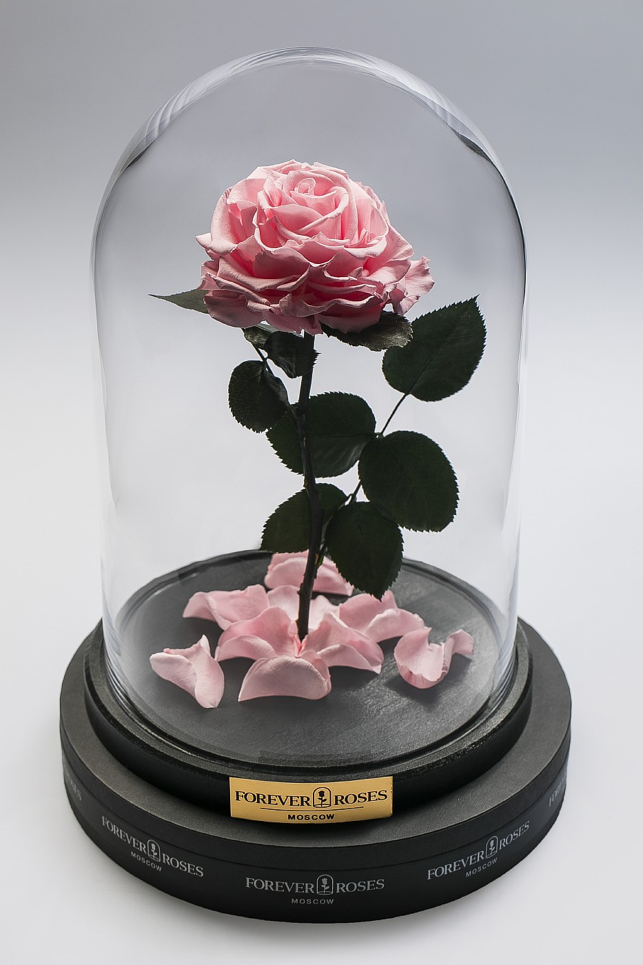 Роза в колбе (светло розовая) на прямом стебле, 27 см в Ярославле